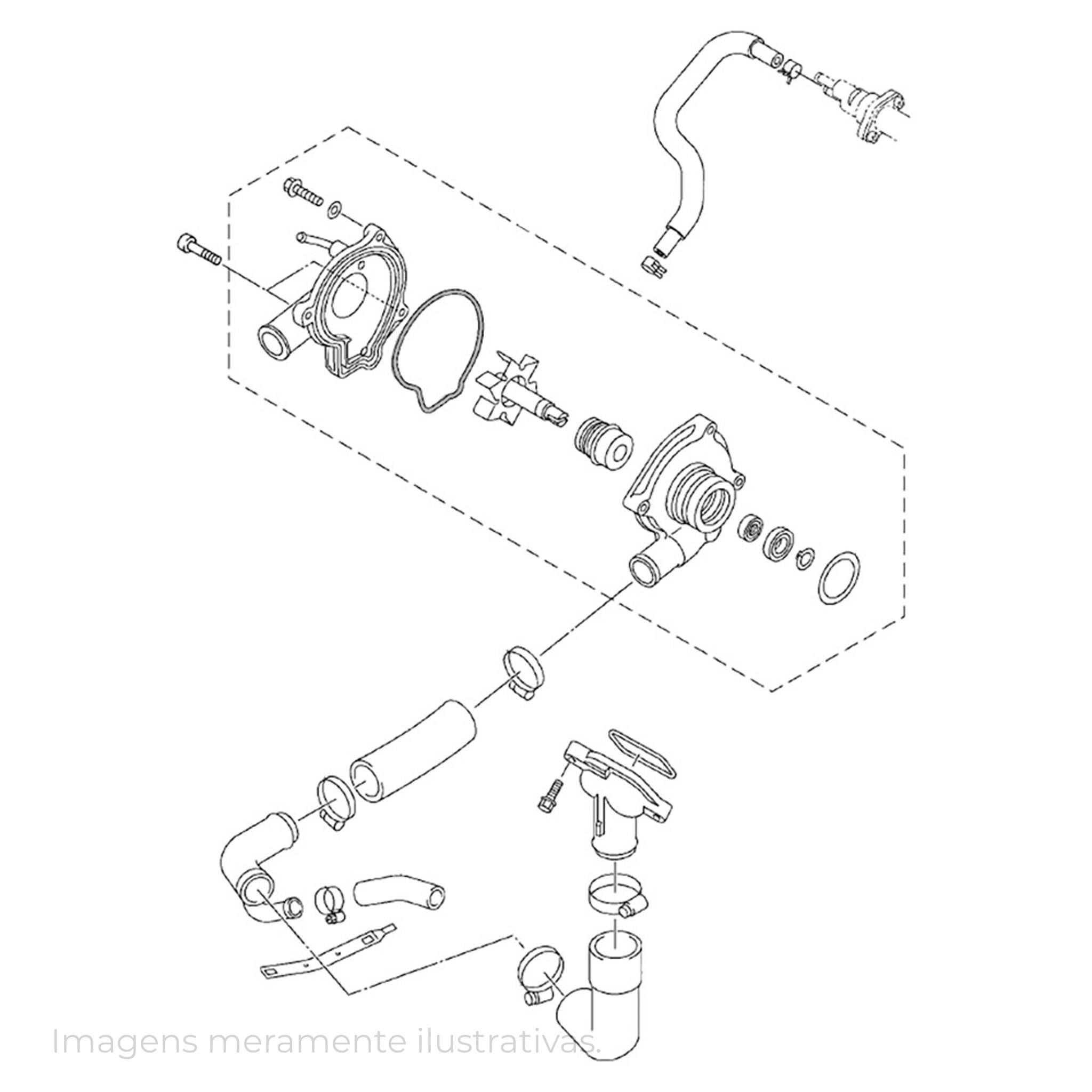 338697 - miniatura 4
