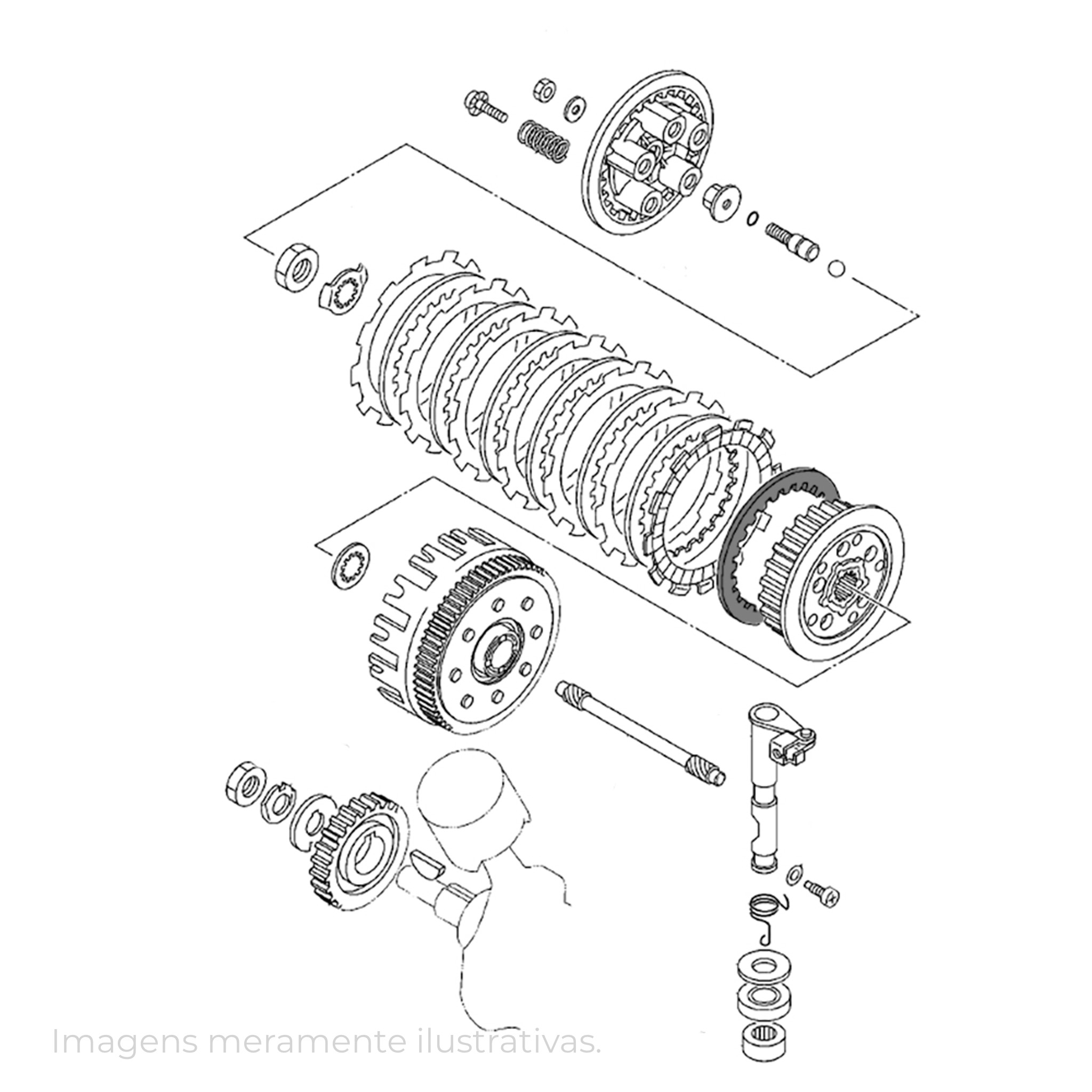 339685 - miniatura 3