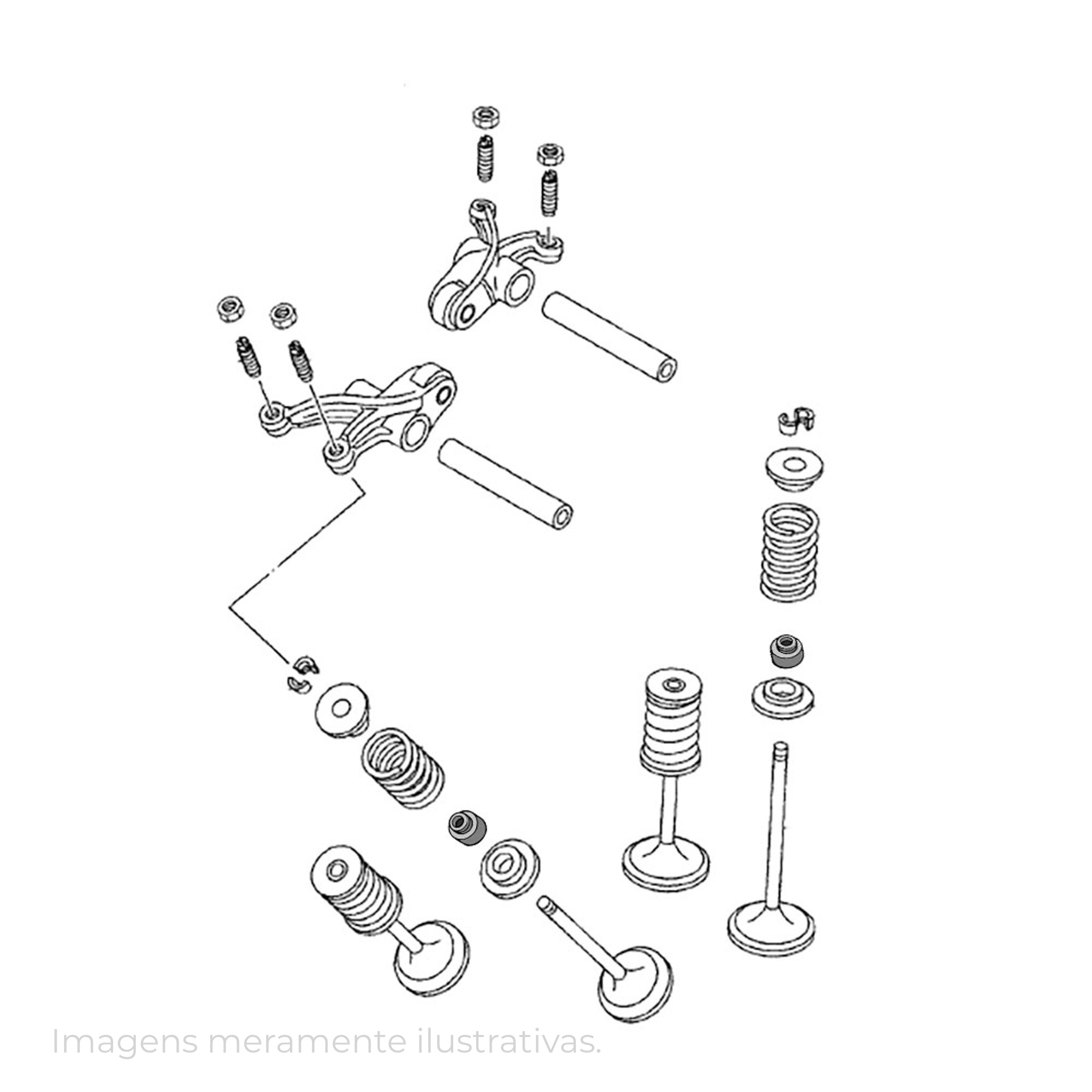 339901-5 - miniatura 11