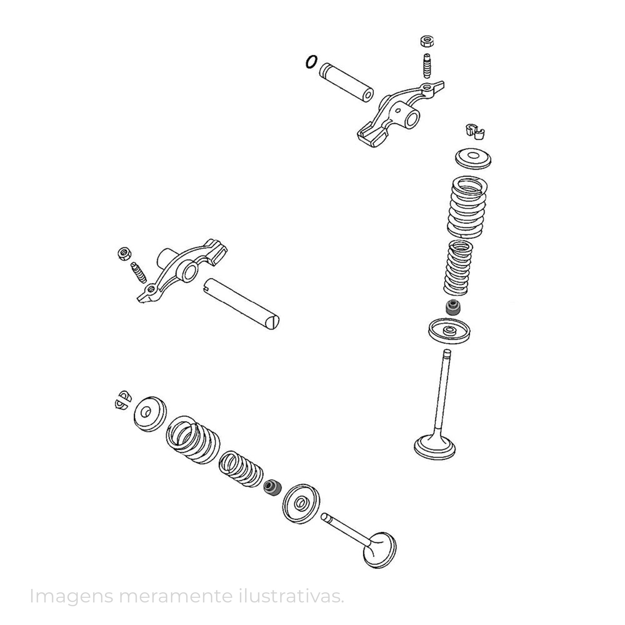 339901 - miniatura 7