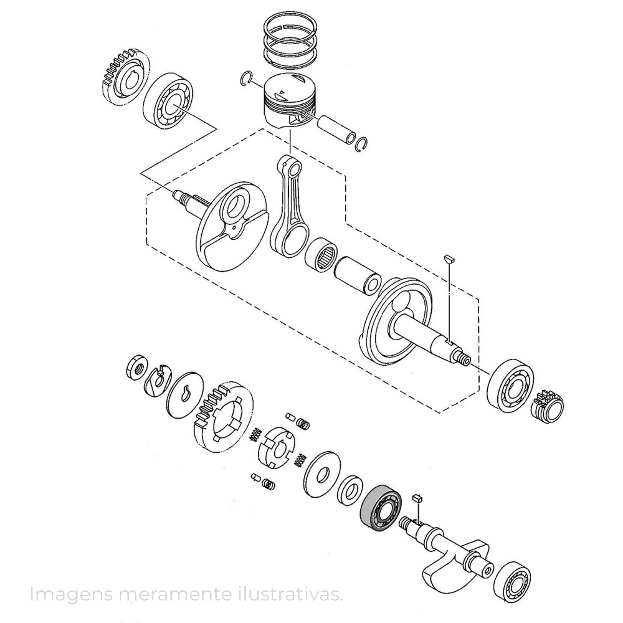 340069 - miniatura 6